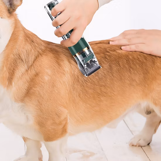 Accessori per animali domestici ABS Spazzola per peli di cani Spazzola per toelettatura impermeabile Ipx7