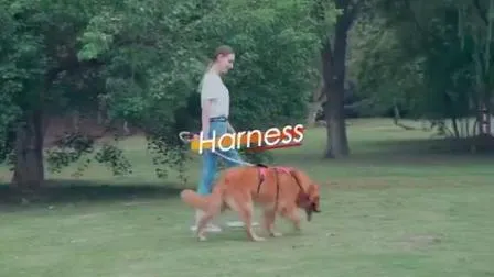 Pettorina per cani da gatto da viaggio regolabile portatile per esterni Prodotti per animali domestici Mokofuwa