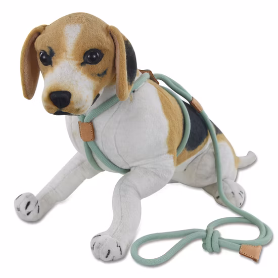 Guinzaglio per cani, corda antiscivolo, corda resistente, guinzagli da addestramento senza tiro