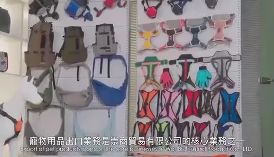 Borsa per trasportini per animali premium Approvata dalla compagnia aerea Lato morbido per cani e gatti Borsa per animali da viaggio portatile e accogliente, Trasportino sicuro per seggiolino auto