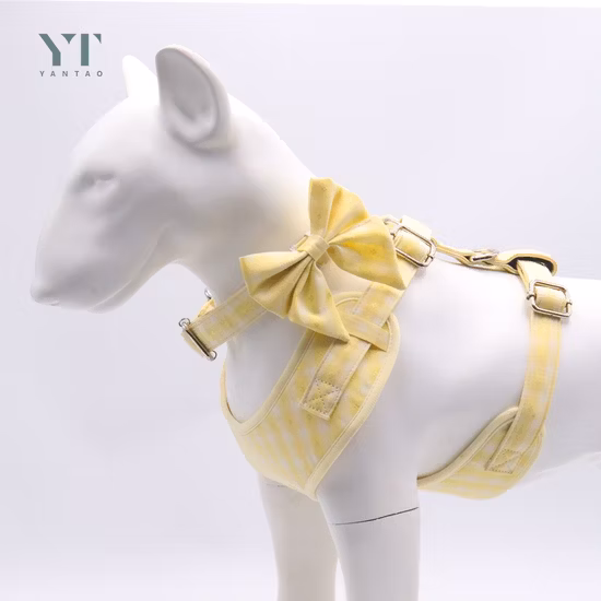 Guinzaglio per cani con logo personalizzato OEM Guinzagli per animali domestici Collare e guinzaglio per cani Set Collare per cani e guinzaglio per cani di moda di design