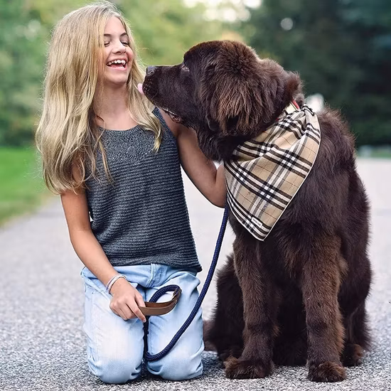 Guinzaglio per cani resistente con manico in morbida pelle Guinzaglio per cani spesso per cani di taglia media e piccola