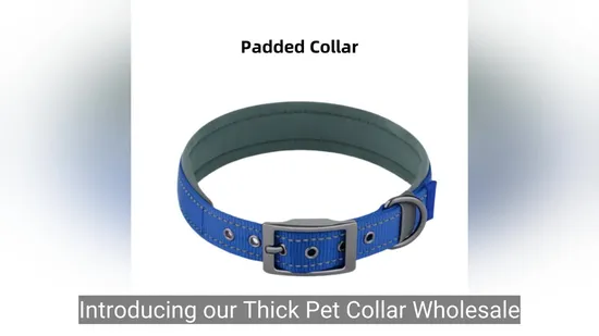 Prodotti in nylon per cani di piccola taglia Forniture per animali Collare per animali domestici