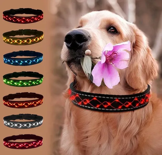 Collari per animali domestici a LED ricamati personalizzati Collare per cani a LED regolabile